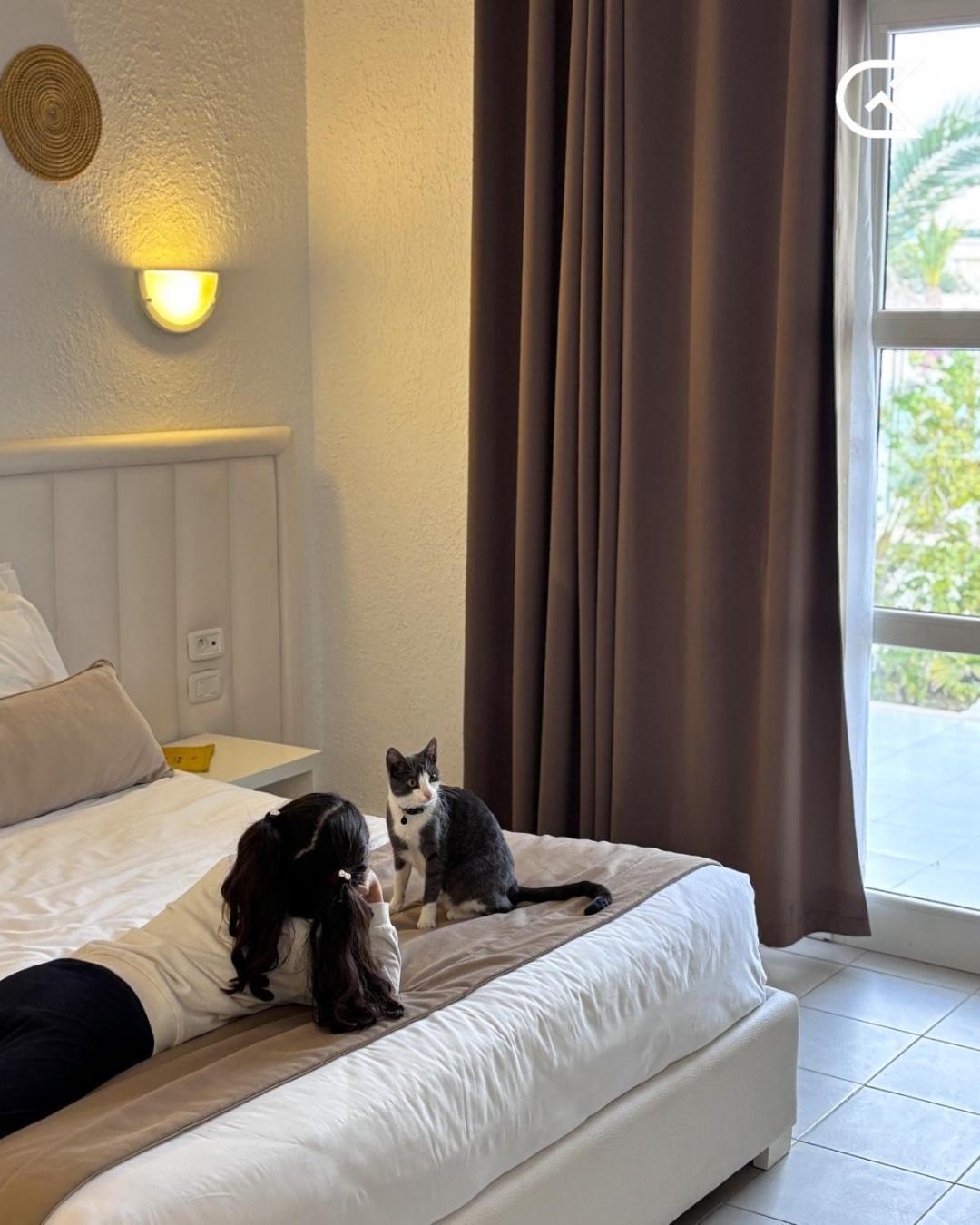 Golden Tulip President Hammamet Otel Dış mekan fotoğraf